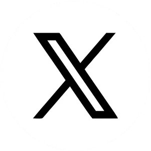 X (Twitter)